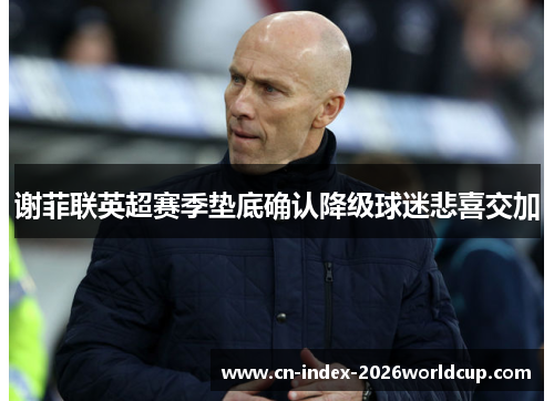 谢菲联英超赛季垫底确认降级球迷悲喜交加 谢菲联英超赛季垫底确认降级球迷悲喜交加